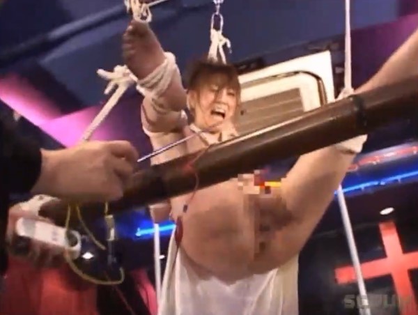 PAIN GATE LIVE �`�ӓ��Ձ`�T���v��